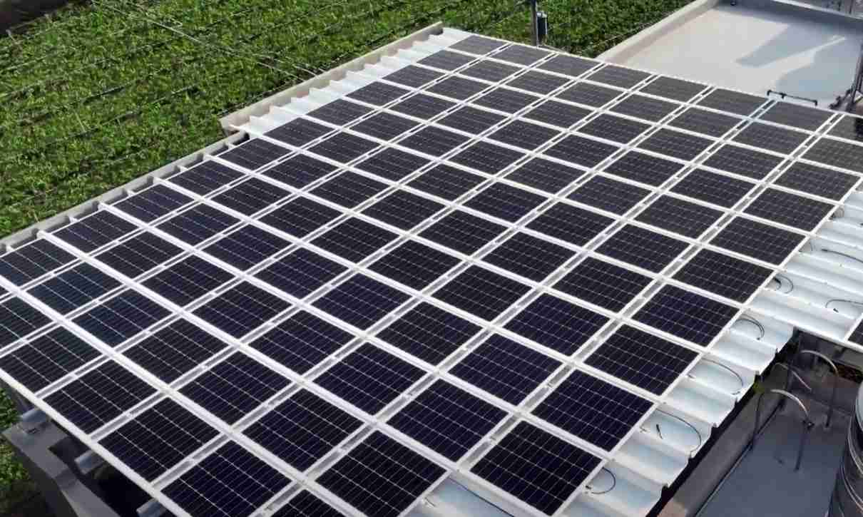 彩霸王SunSteel光电浪板升级双玻结构，，以提升机械负载强度及气候耐候度，，可广泛运用于多元场域